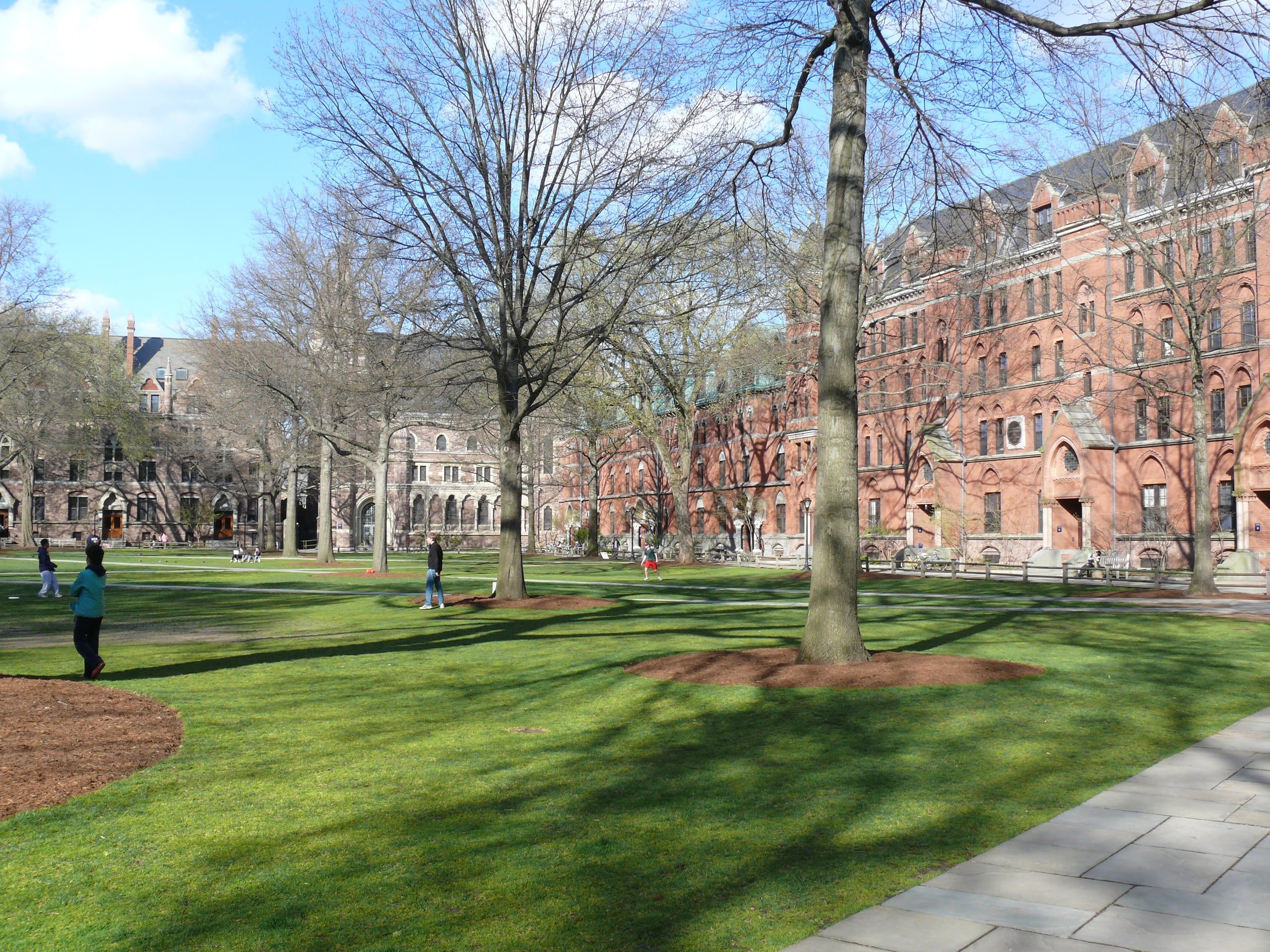 Yale's Old Campus, its lawn and elms framed by Gothic halls